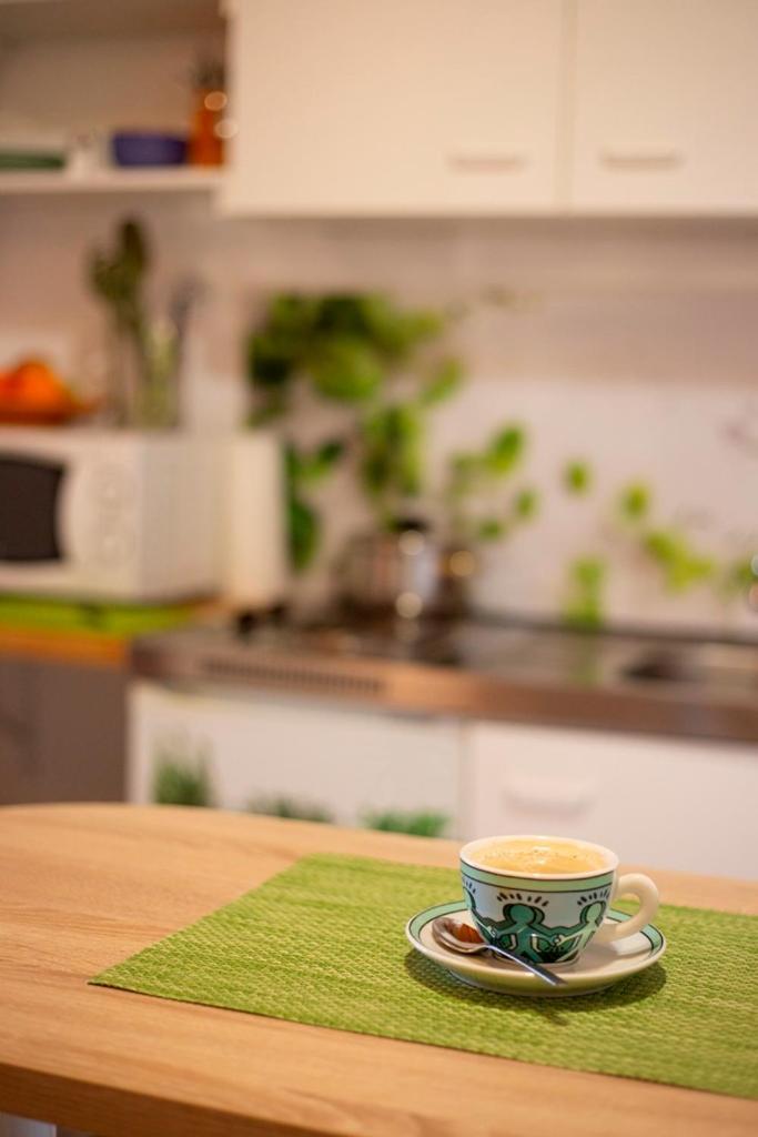 Haus Rose Bed & Breakfast Allensbach Ngoại thất bức ảnh